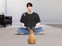 Q. 토끼가 사람일 수도 있나요?