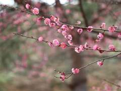 [화산귀환] 저놈을 당장 의약당에 처넣어라!