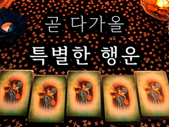 [타로] 곧 다가올 특별한 행운