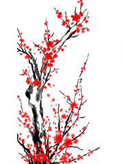 깨어나보니 내가 00