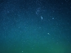 인간은 오락가락하는 존재