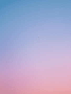 토우지의 병약부인이 되었다