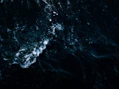 고독을 씹는 일.