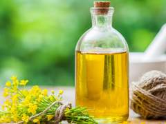 Canola Oil Processing Plant Project Report 2023: Industry Trends, Cost and Revenue and Plant Setup