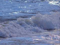 상어의 계절 . 𝟏