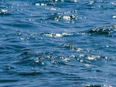 잊지 못할 추억