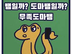 뱀일까? 도마뱀일까? 무족도마뱀