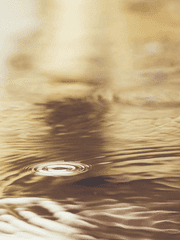 황금빛 장마의 시간