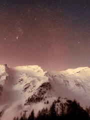 슬기로운 동거 생활