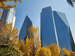 '부동산PF 정상화 지원 펀드' 뉴스 정리