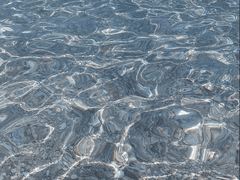 [ 편린 ] : 일기장