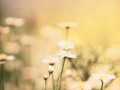 그래도 가장 가까이에서 듣고 있을게요.