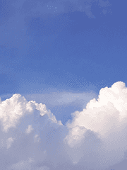 NCT 홍일점, 라일락