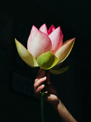 [현성/우규/장편] 영력(靈力)의 화살표