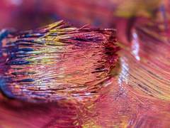 처음예술가가당신이아니라죄송합니다