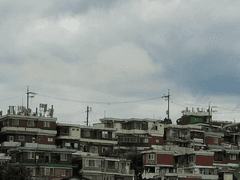 브베의 일상 - 비가 내리고 내 마음에도 비가 내리고