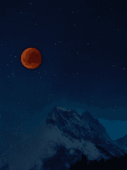 개와 늑대의 시간