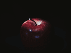 [리들해리] 05. 꼬리