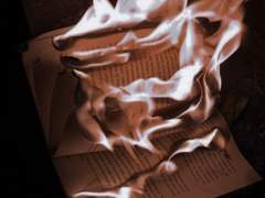 Get Busy Living or Get Busy Dying (Do Your Part to Save the Scene and Stop Going to Shows)