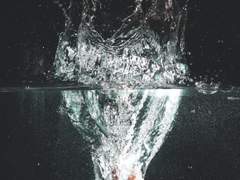 집데이트 (코하/신시)