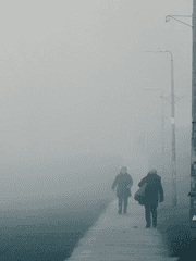 4사단 수색대대 X 괴이현상 실종자 수색연합