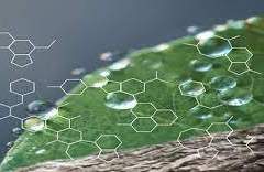 Eco-Friendly Bitumen Market Size, Trends, Industry Overview, Growth and Forecast 2023-2028