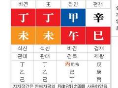 내 사주는 성한빈이 좋아할 사주일까?