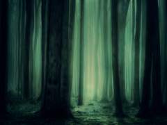 시간의 무질서 속