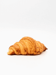 프랑스 대혁명 덕질