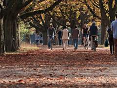 시간이 없는 세상