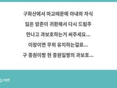 연리지(連理枝)