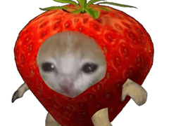 ㅋㅁㅅ!!!!!!!!!!!!!!!!