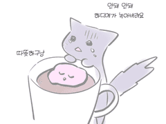 세포신곡 뇨타/커플연성 백업