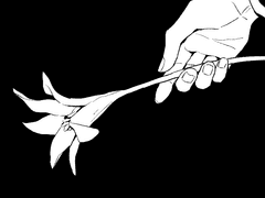 그에게 죄가 있다면