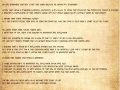 #채집로그 : 외로운 탑 근처 숲과 해변가