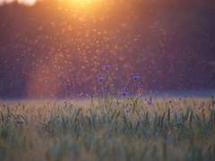 [아카아무/라이버번] Eternity