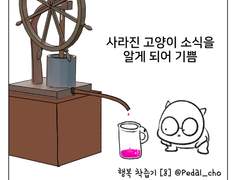 [8] 사라진 고양이 소식 알게 되어 기쁨