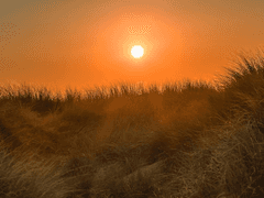 사랑이란 말을 다시 4