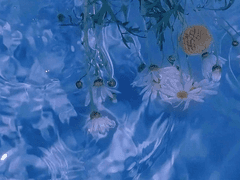 준 메이 / XX / 래번클로