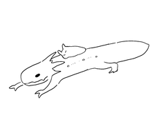 레인월드 그림 백업 5