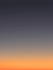 새벽과 그림자의 공생관계