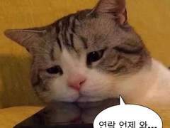 남친만들기 대작전!! talk 1