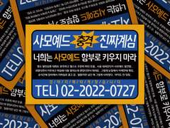 찌라시 디자인