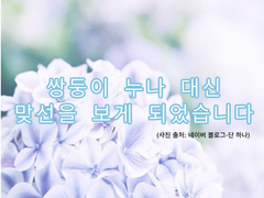 [아캄+경동조]쌍둥이 누나 대신 맞선을 보게 되었습니다 2화