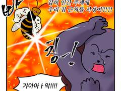 하루땃따 141화 <벌집 대소동>