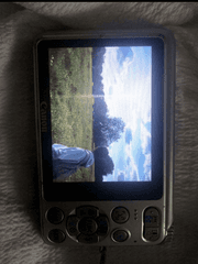 여름날,그들의 사랑