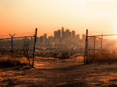 좀비 아포칼립스가 일어났다. 살아남자.