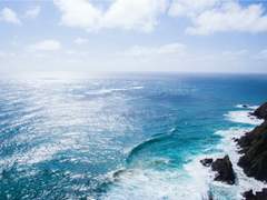 에스텔 R. 에스트레야 관계로그