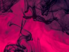 코델리아 린 관계로그