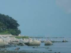 바다에 닿을 때까지